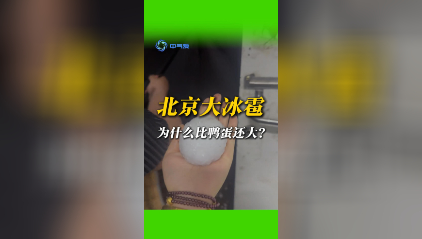 澳門天獎(jiǎng)結(jié)果記錄歷史,曝王大陸因殺人未遂被送檢,最新正品解答落實(shí)_完整版V11.19